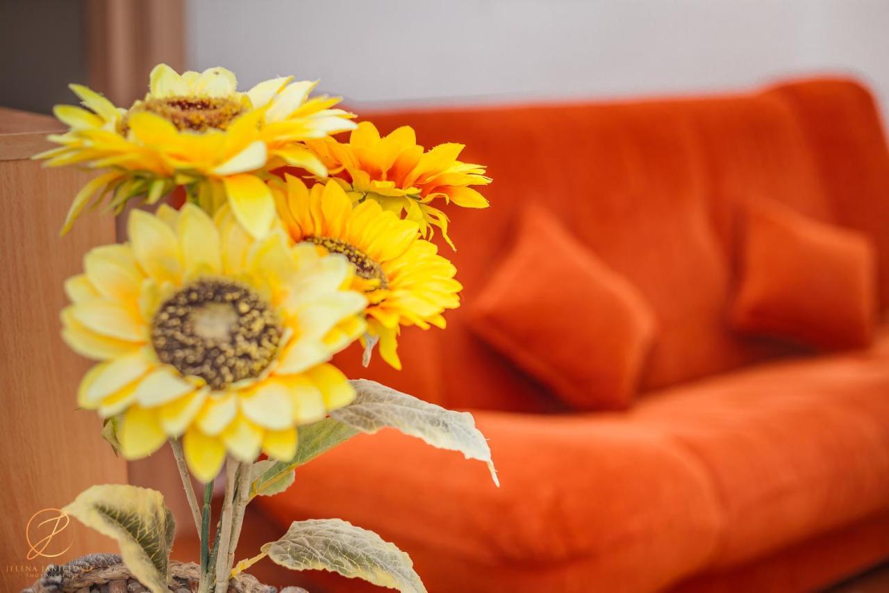 Apartments Batricevic แฮร์เซ็ก-โนวี ภายนอก รูปภาพ